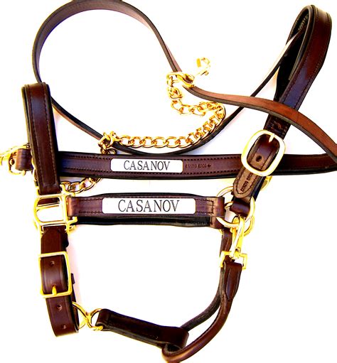 customizable leather plated halters.